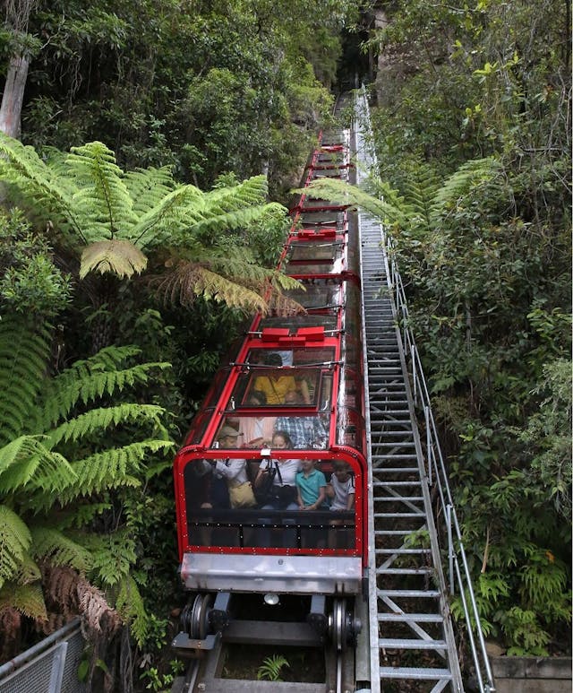 A red railway filled with passengers ascends through lush green foliage and ferns on a steep track. The dense greenery surrounds the track, creating a natural tunnel effect.