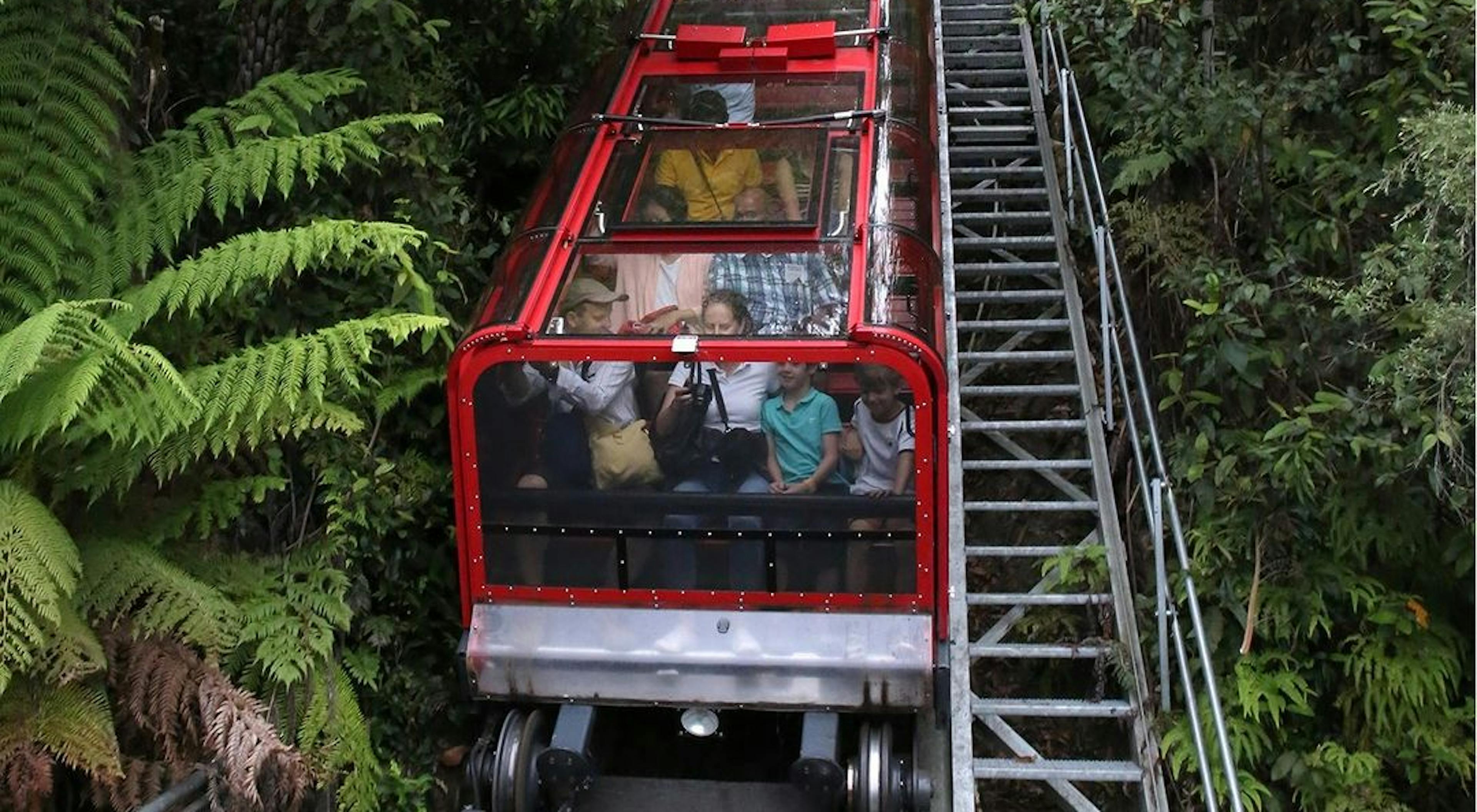 A red railway filled with passengers ascends through lush green foliage and ferns on a steep track. The dense greenery surrounds the track, creating a natural tunnel effect.