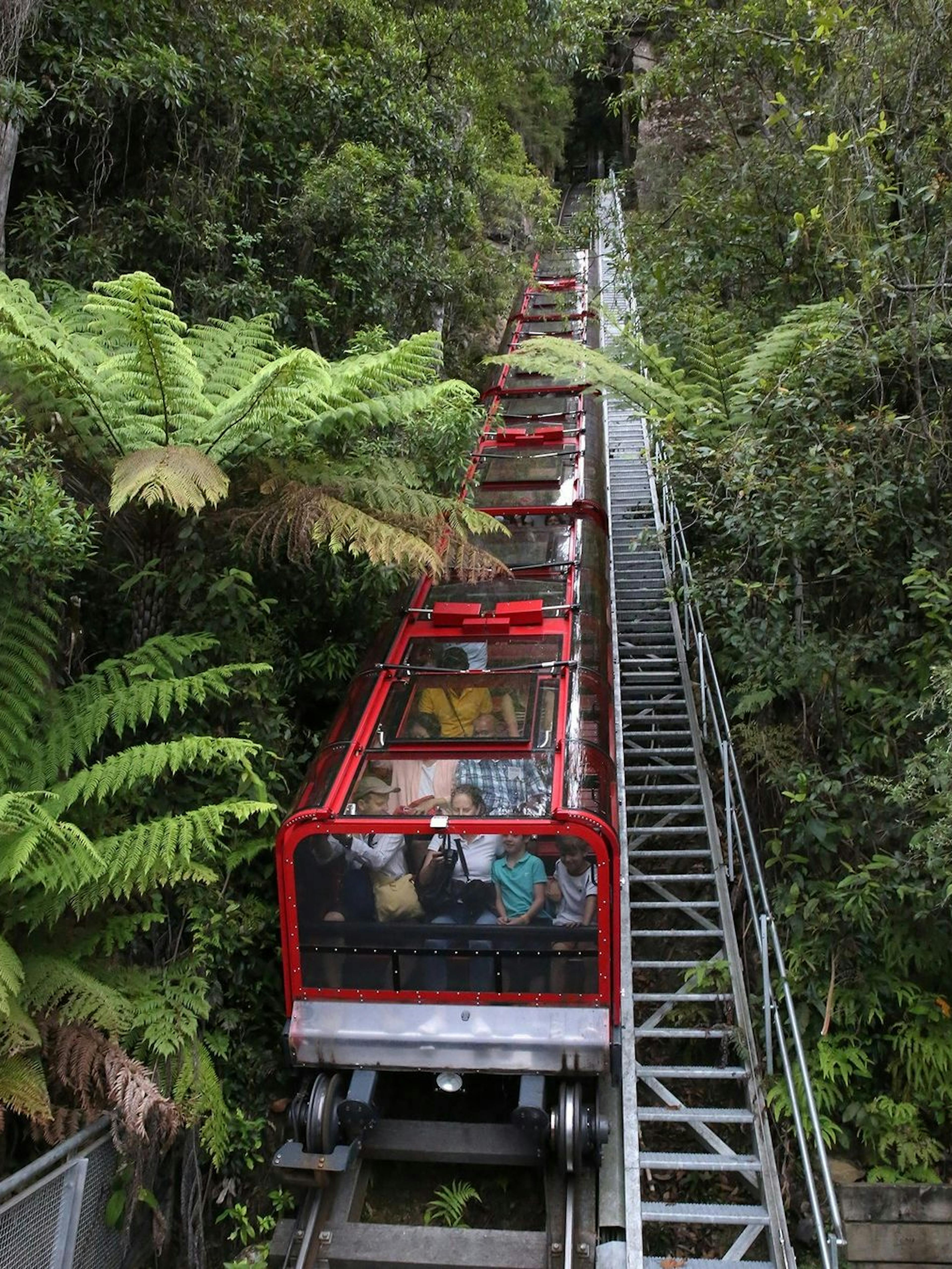 A red railway filled with passengers ascends through lush green foliage and ferns on a steep track. The dense greenery surrounds the track, creating a natural tunnel effect.