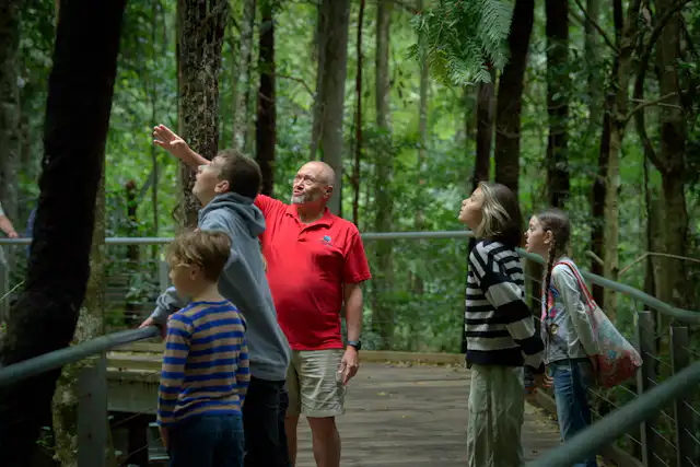 A group of people stands on a wooden platform in a lush, green forest. A man in a red shirt gestures upwards, explaining something about the surrounding trees. Other group members include adults and children, all attentively listening.