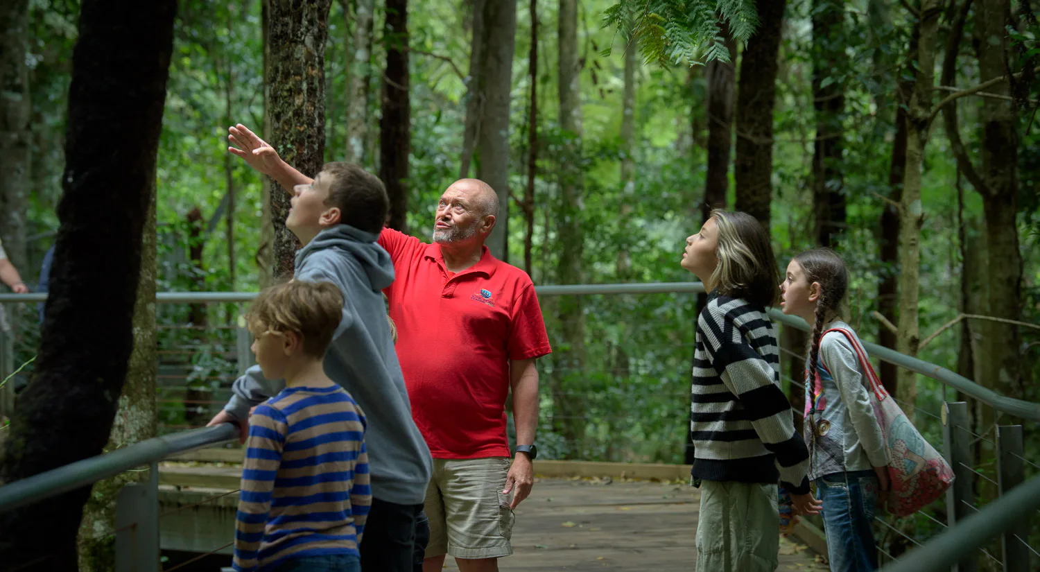 A group of people stands on a wooden platform in a lush, green forest. A man in a red shirt gestures upwards, explaining something about the surrounding trees. Other group members include adults and children, all attentively listening.
