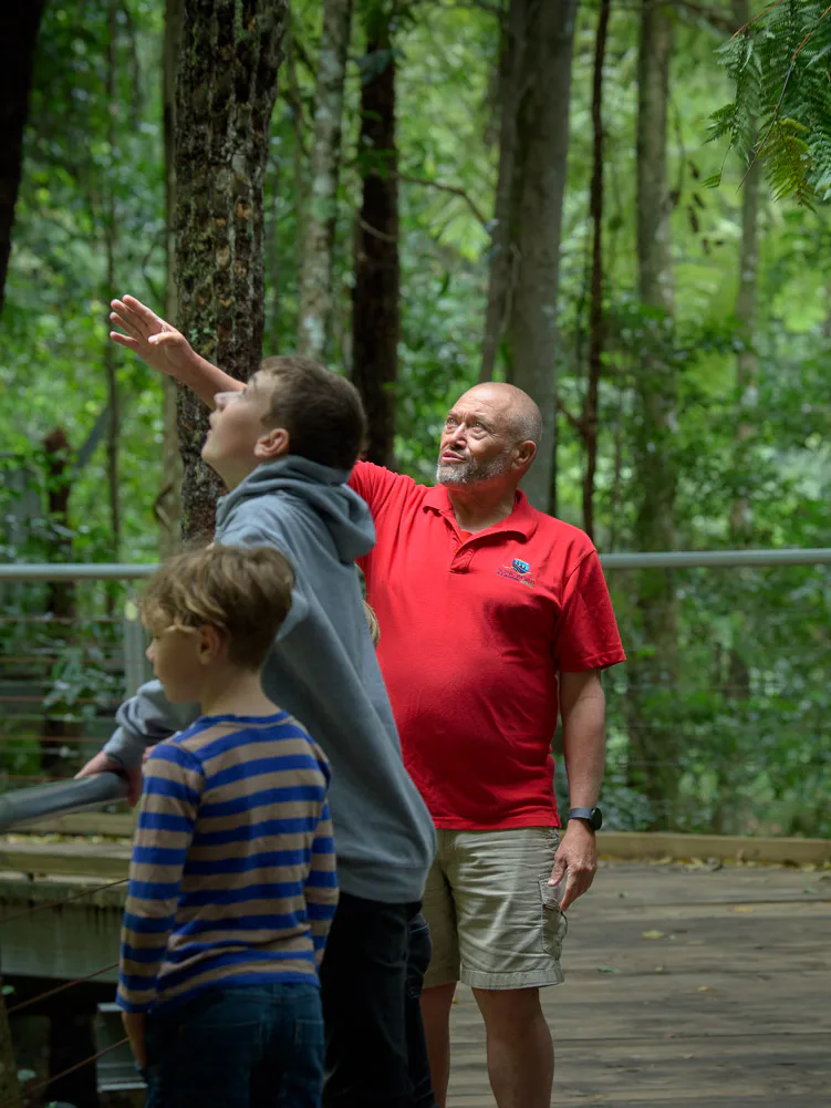 A group of people stands on a wooden platform in a lush, green forest. A man in a red shirt gestures upwards, explaining something about the surrounding trees. Other group members include adults and children, all attentively listening.