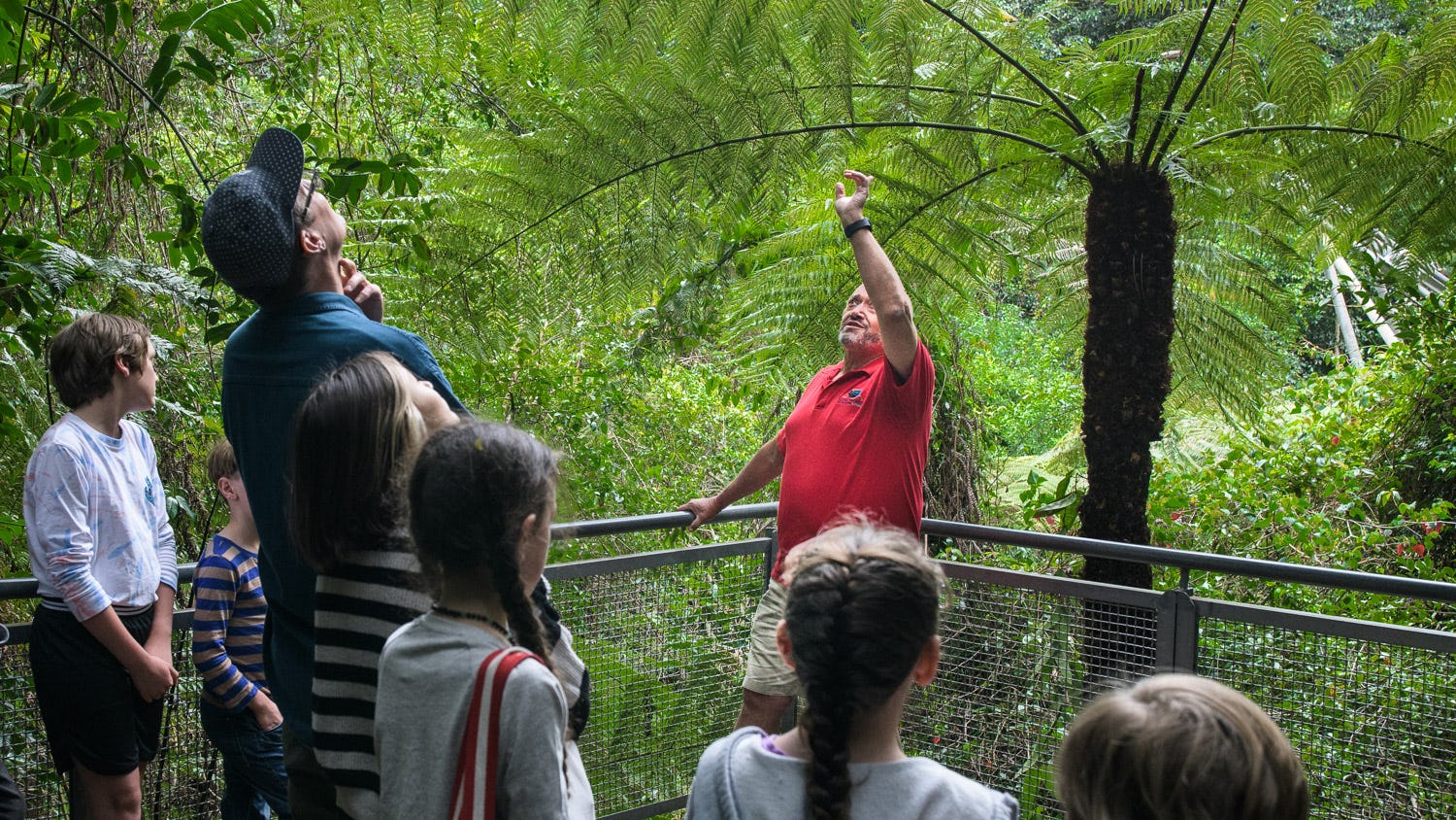 A group of people stands on a wooden platform in a lush, green forest. A man in a red shirt gestures upwards, seemingly explaining something about the surrounding trees. Other group members include adults and children, all attentively listening.