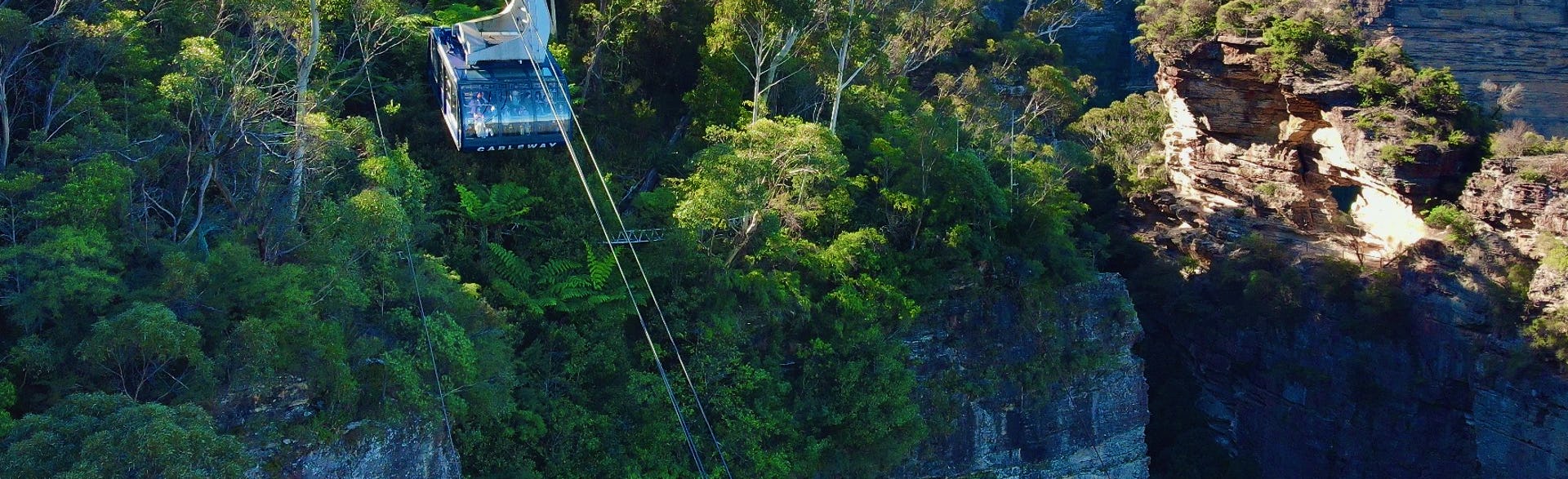 FAQS | Scenic World