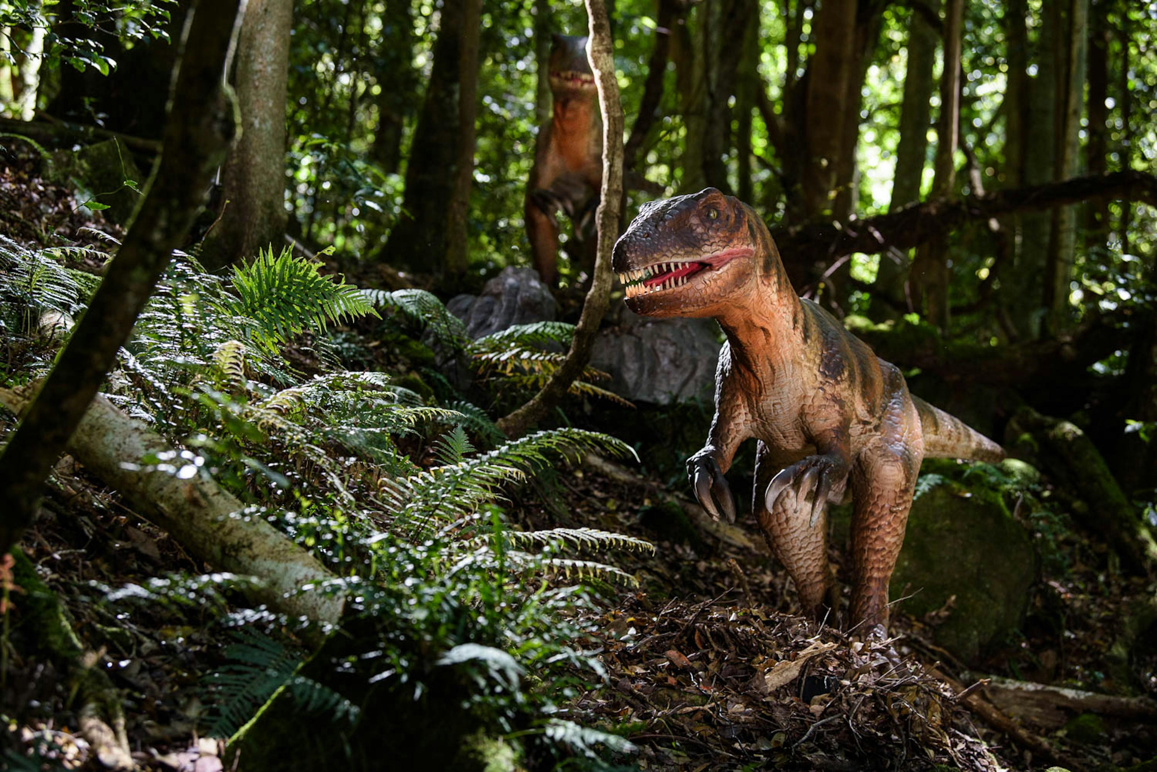 Two velociraptor dinosaurs stand amid lush greenery and ferns in a dense forest setting, with dappled sunlight filtering through the trees.