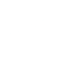 Dinosaur Valley Logo