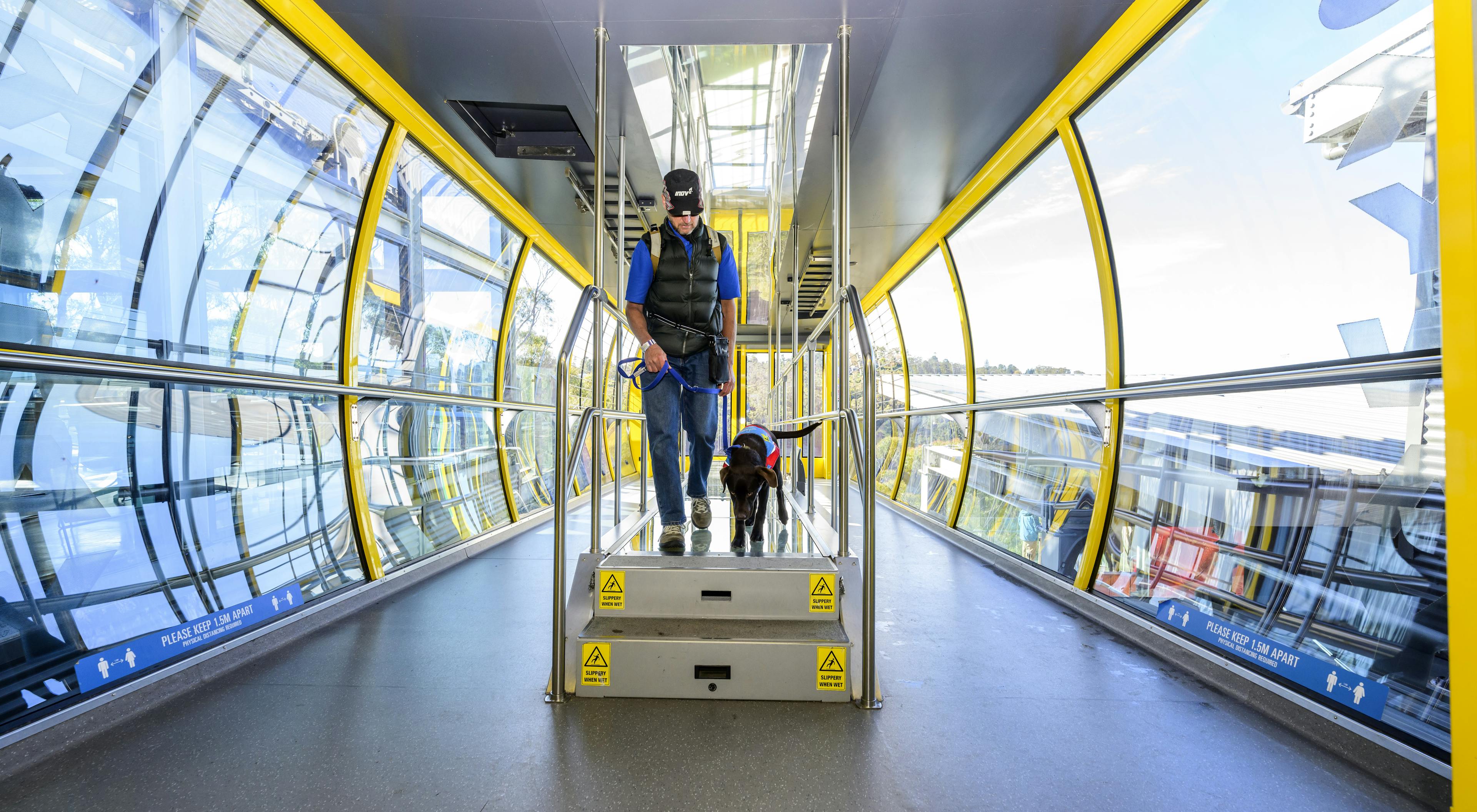 A person wearing a hat and sunglasses walks down two steps in a brightly lit cable car with glass walls. They are holding a leash attached to a service dog. Yellow railings and warning signs are visible.