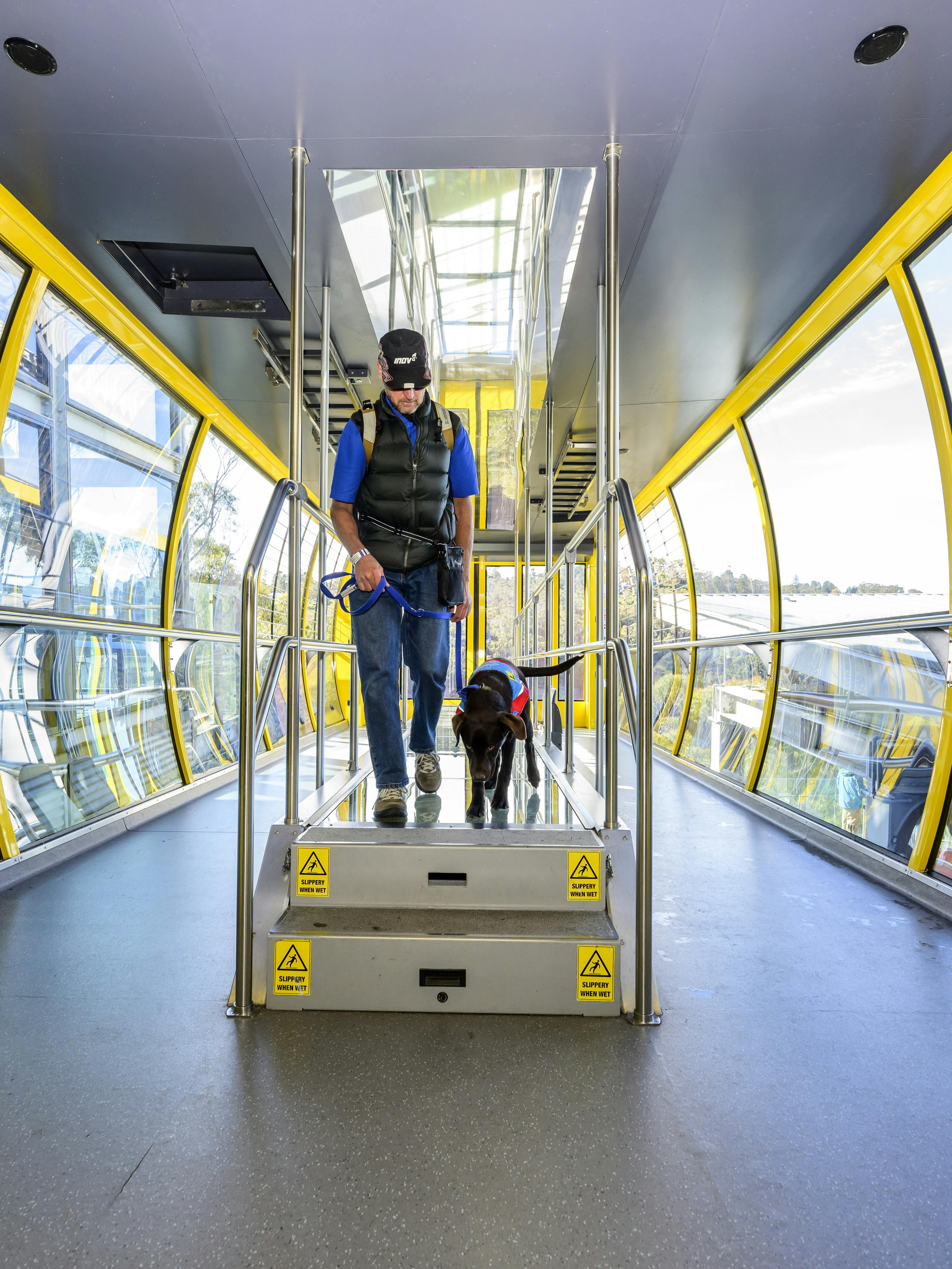 A person wearing a hat and sunglasses walks down two steps in a brightly lit cable car with glass walls. They are holding a leash attached to a service dog. Yellow railings and warning signs are visible.