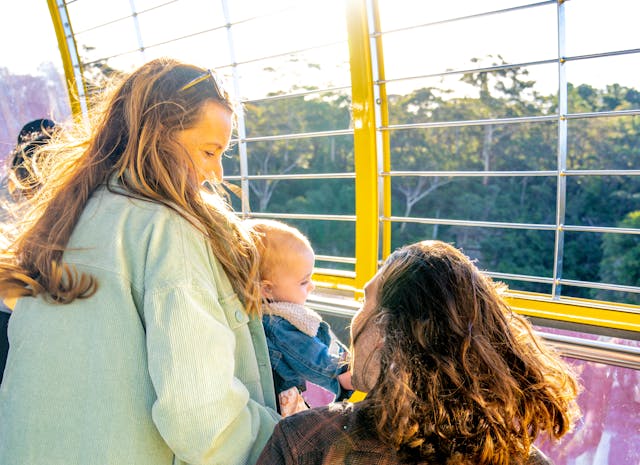 A family enjoys the view from within a cable car with large windows. A woman stands beside a man in a wheelchair, both smiling. The woman holds a baby, and sunlight streams through the window, creating a warm, bright atmosphere. Trees are visible outside.