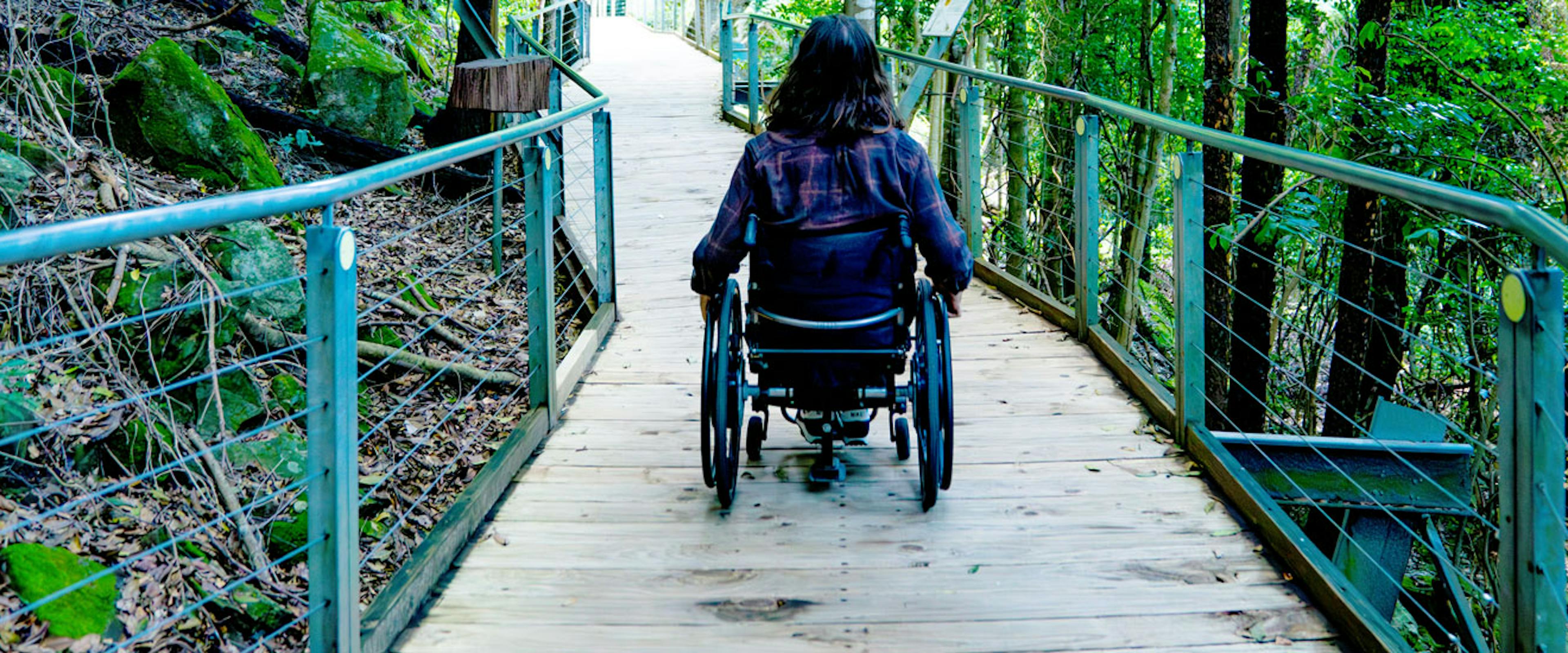 A person in a wheelchair along a wooden boardwalk through a lush forest area, with metal railings on both sides. The pathway is surrounded by green foliage and rocks.