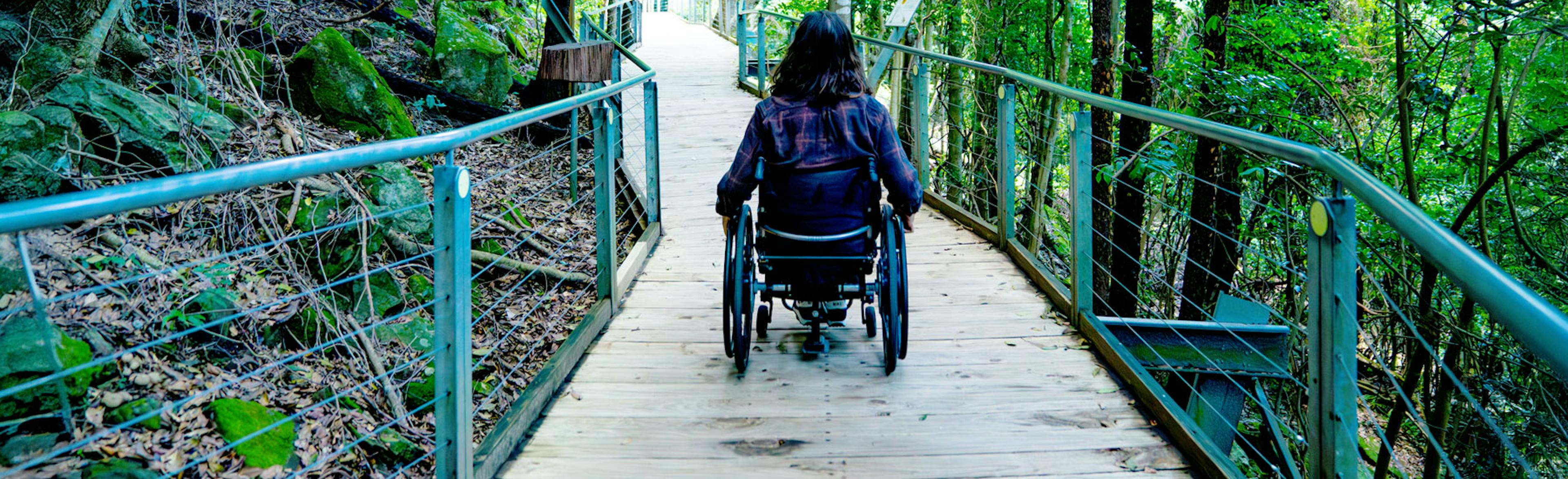 A person in a wheelchair along a wooden boardwalk through a lush forest area, with metal railings on both sides. The pathway is surrounded by green foliage and rocks.