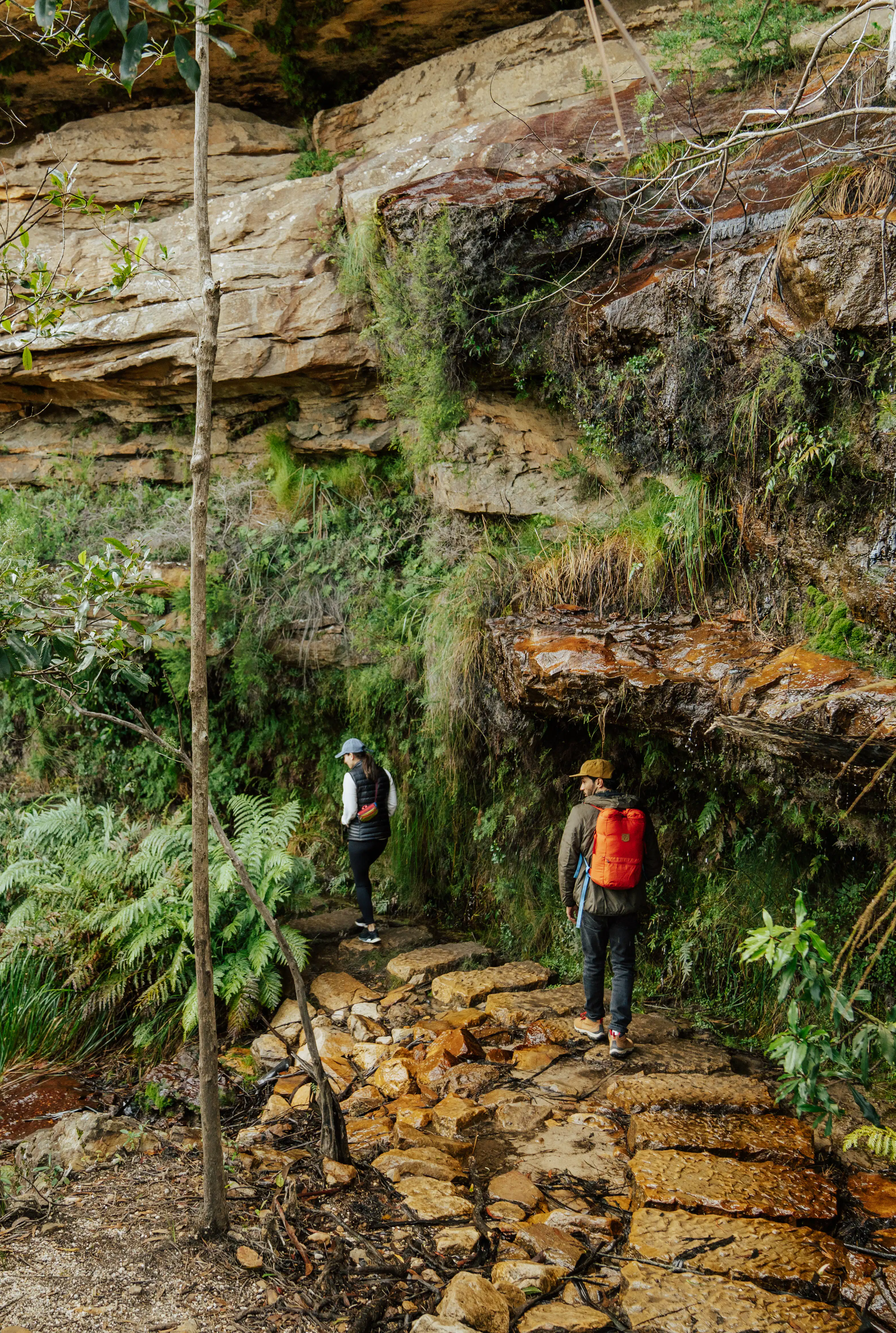Two hikers walk along a rugged, stone path beneath a cliff face surrounded by lush greenery and ferns. One wears a red backpack, and the other a gray one. The scene is vibrant and natural, evoking a sense of adventure.