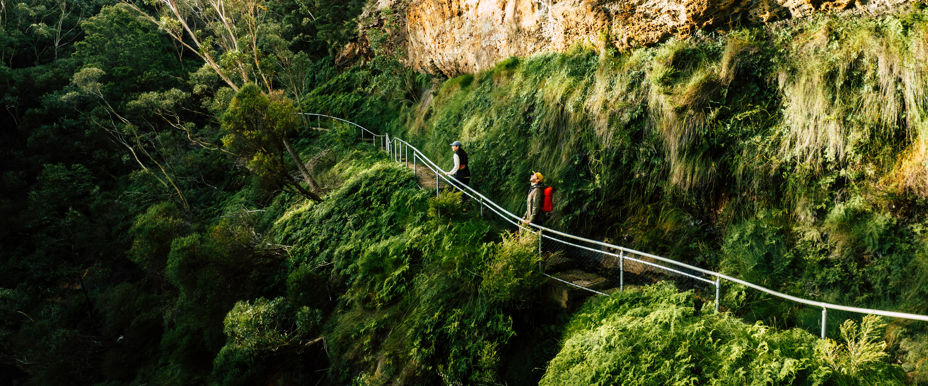 Two hikers walk along a narrow, elevated pathway bordered by a rock cliff and lush greenery. Tall trees line the landscape, and sunlight casts dappled shadows across the plants. The scene conveys a sense of adventure and natural beauty.