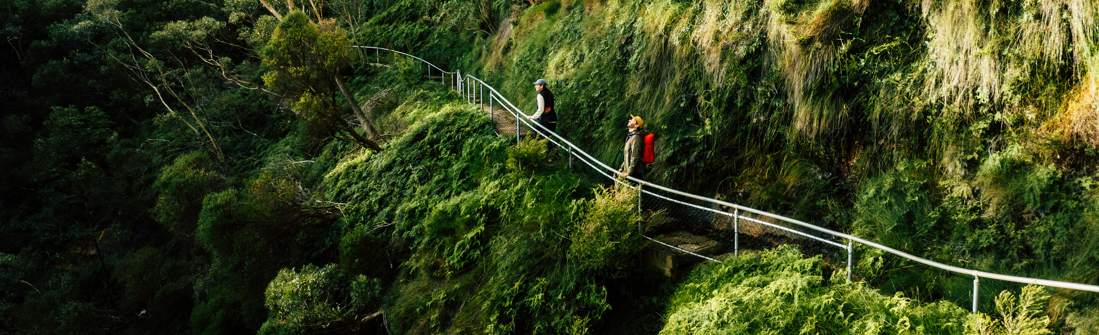 Two hikers walk along a narrow, elevated pathway bordered by a rock cliff and lush greenery. Tall trees line the landscape, and sunlight casts dappled shadows across the plants. The scene conveys a sense of adventure and natural beauty.