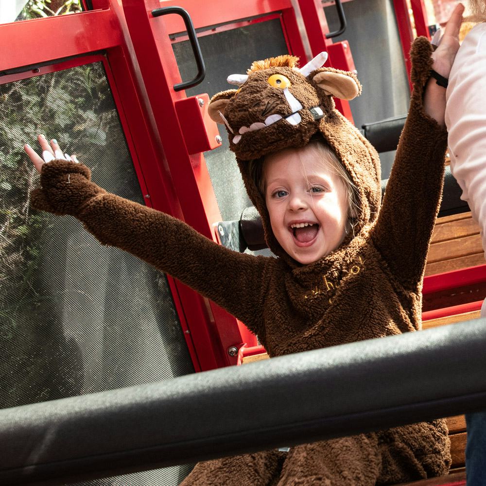 Little girl riding the Scenic Railway while dressed in a Gruffalo outfit!
