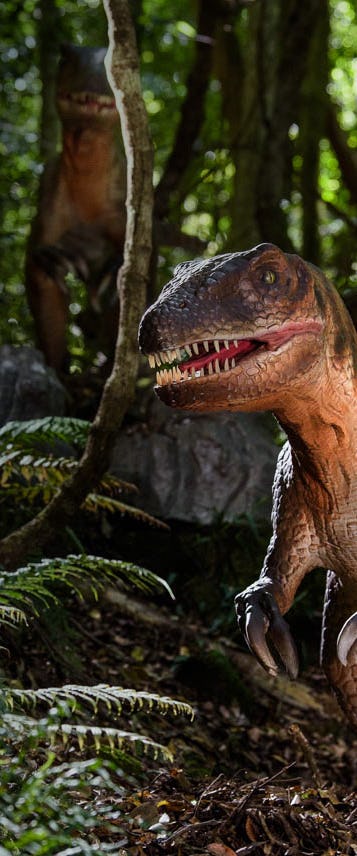 Dinosaur in the valley