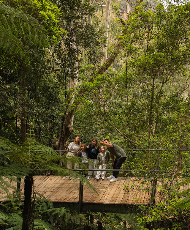 Family on the Scenic Walkway