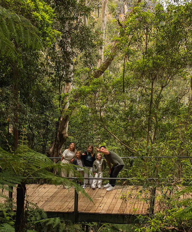 Family on the Scenic Walkway