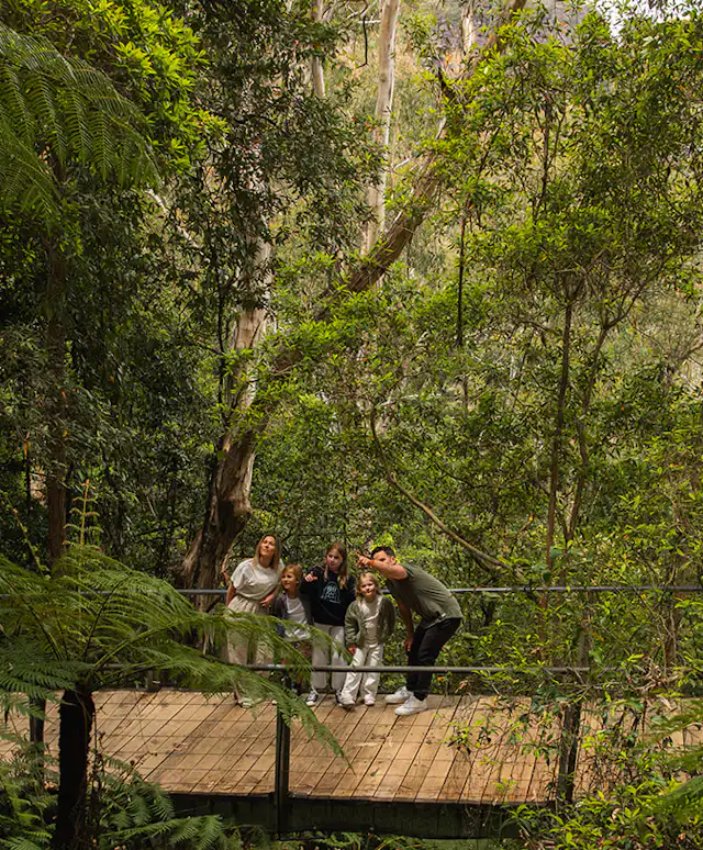 Family on the Scenic Walkway