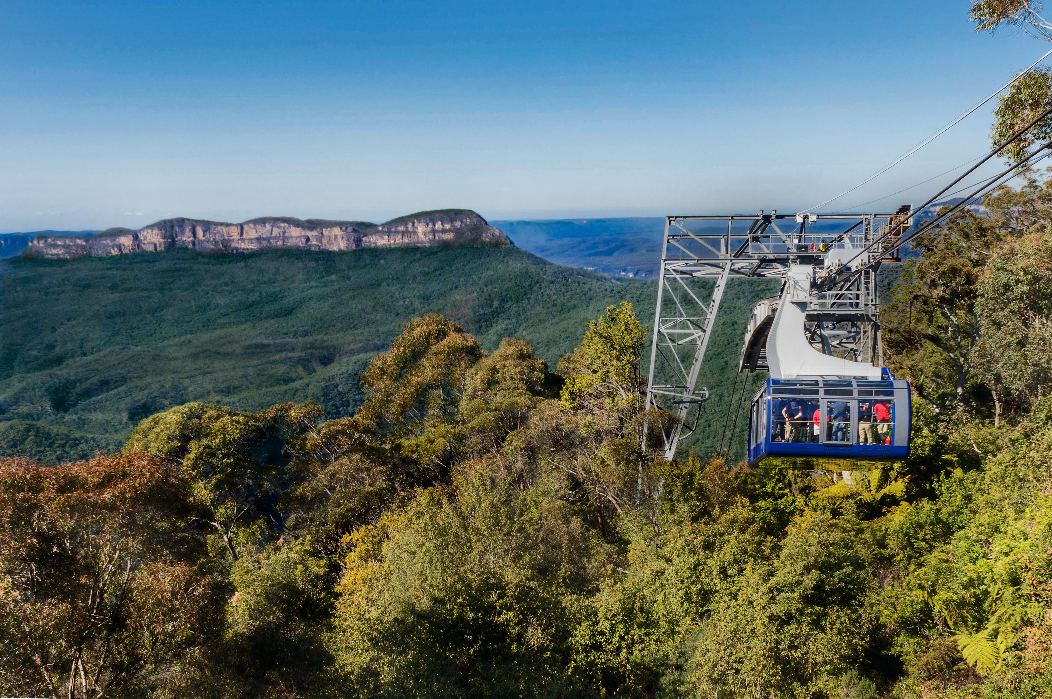 The Scenic Cableway over the rainforest with Mount Solitairy in the background