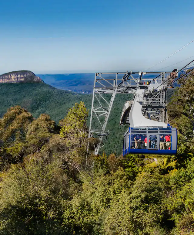 The Scenic Cableway over the rainforest with Mount Solitairy in the background