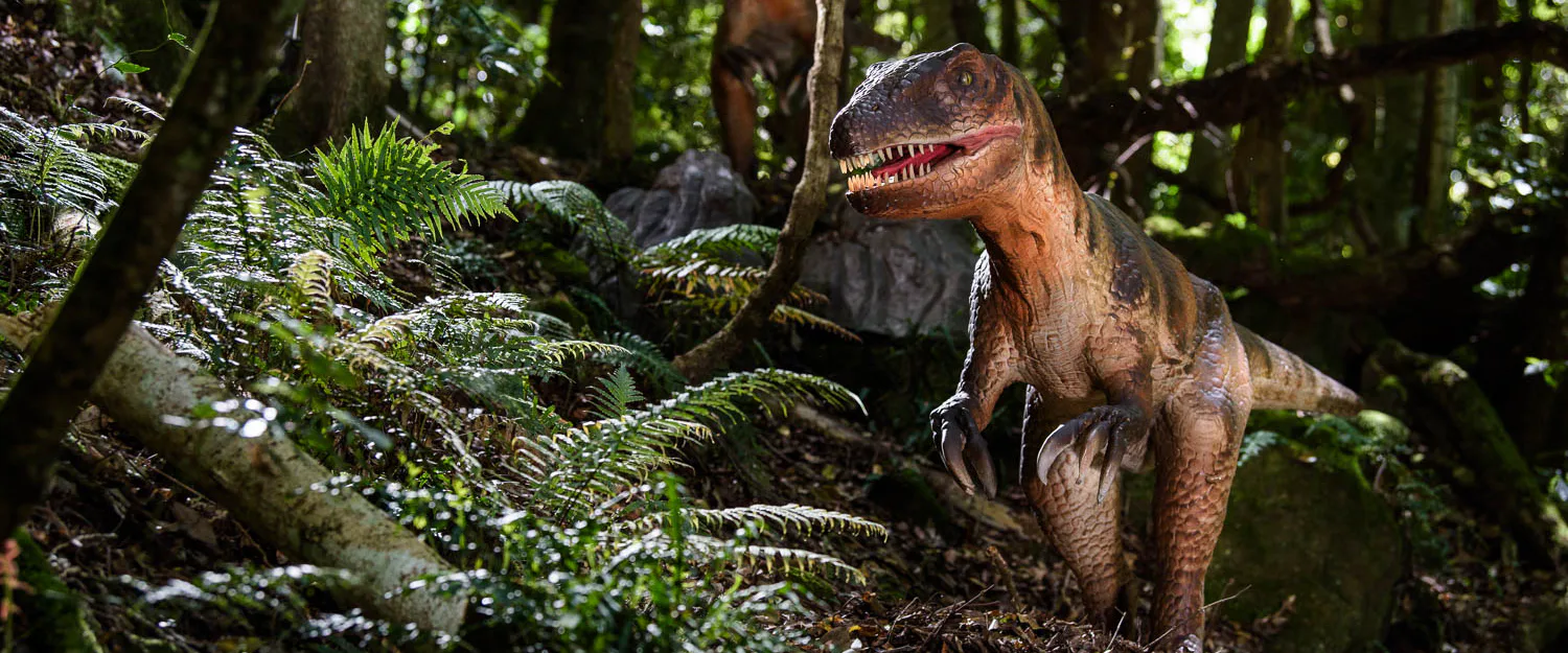 Australovenator in Dinosaur Valley