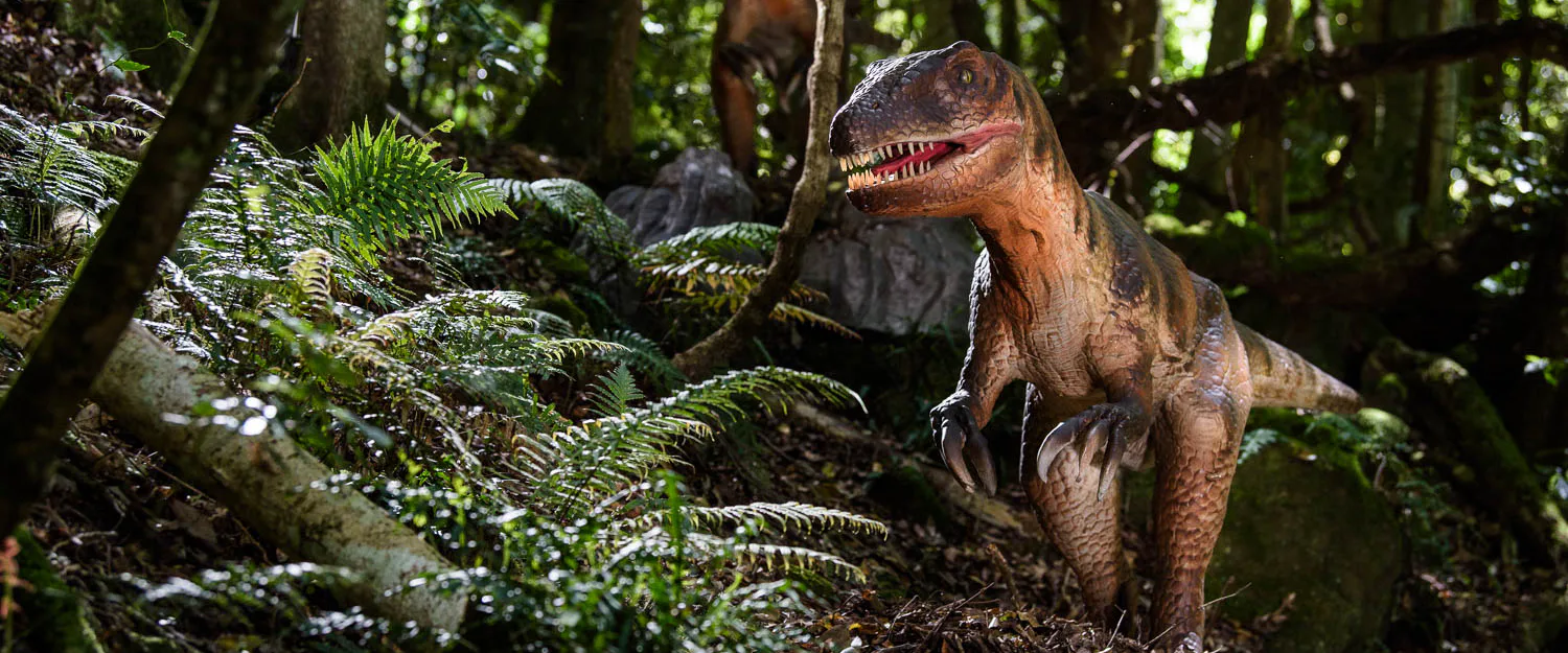 Australovenator in Dinosaur Valley