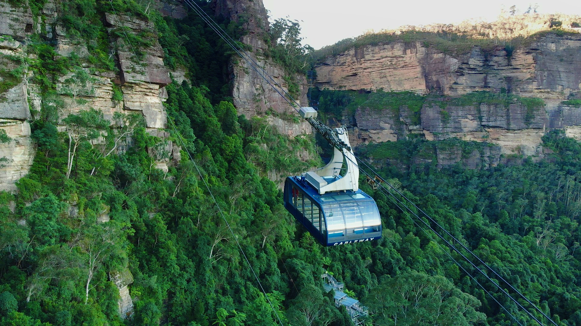 Terms & Conditions | Scenic World