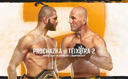 UFC 282