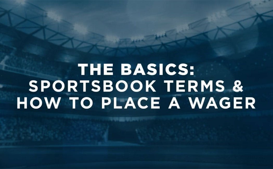 SPORTS BETTING BASICS