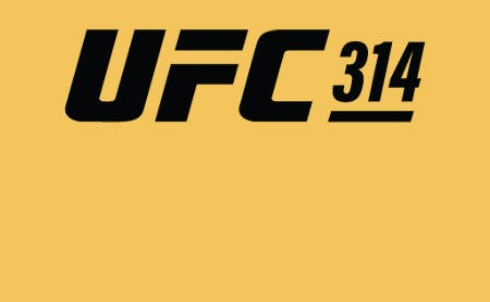 UFC 314