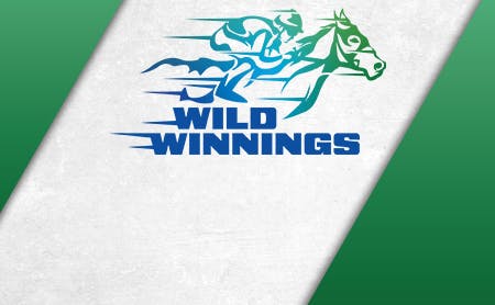 Wild Winnings Hot Seats