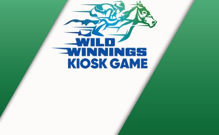 Wild Winnings Kiosk Game