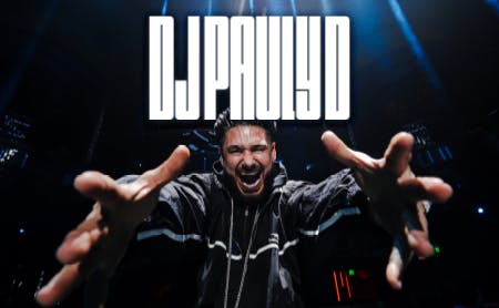 DJ Pauly D