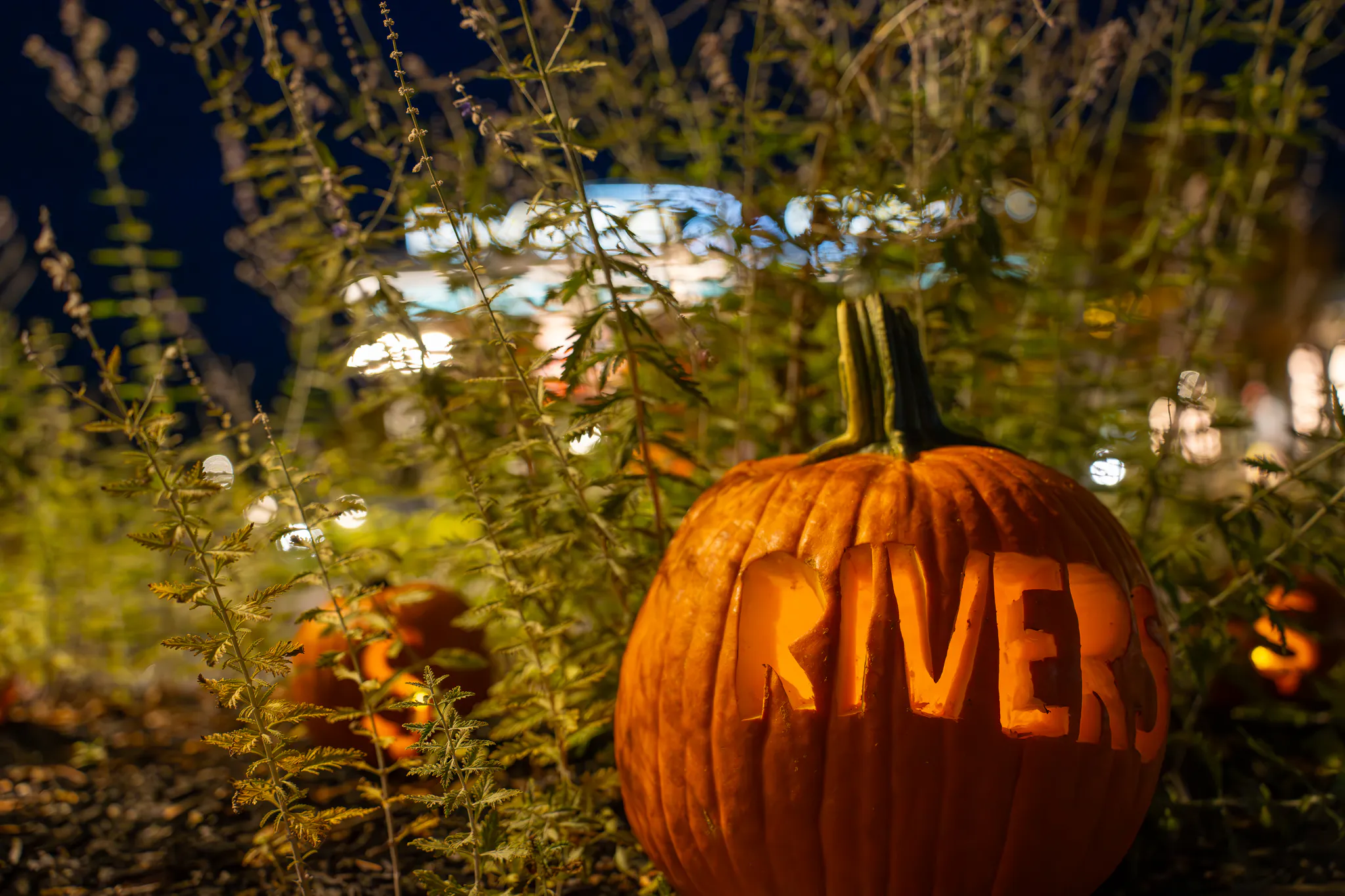 Roll Into Fall and Win Big At Rivers Casino Schenectady
