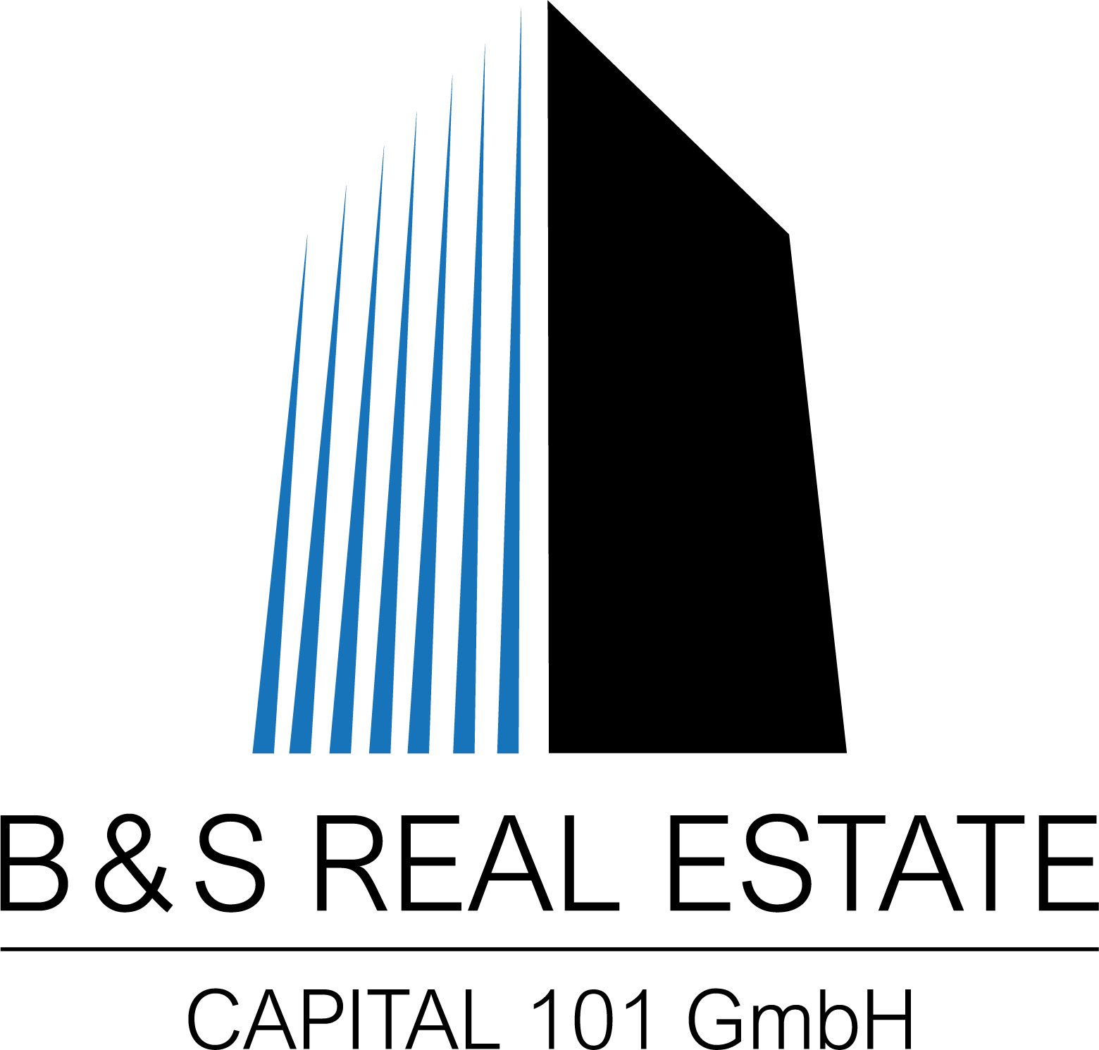 B&S Real Estate Logo