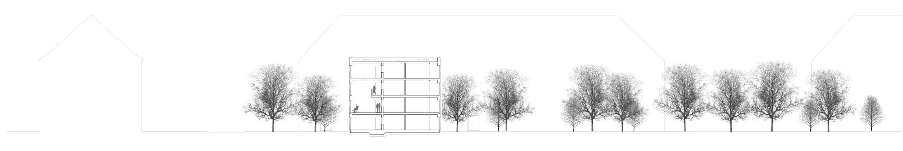 West-Albertinum, Neu Ulm, Querschnitt Plan