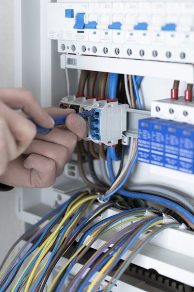 Employees building distributors