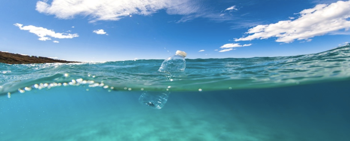 Plastic-Eating Bacteria: A Phenomenal Resolution