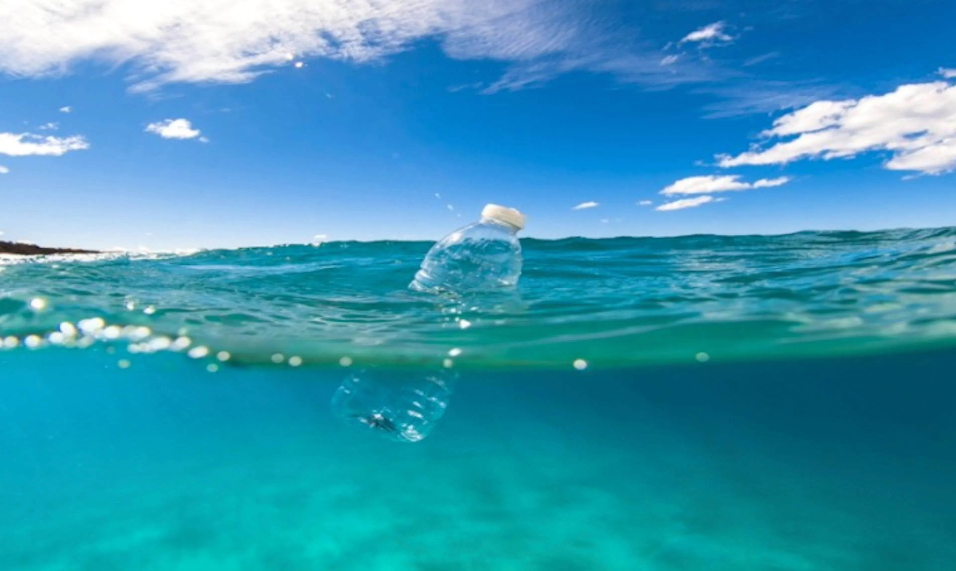 Plastic-Eating Bacteria: A Phenomenal Resolution