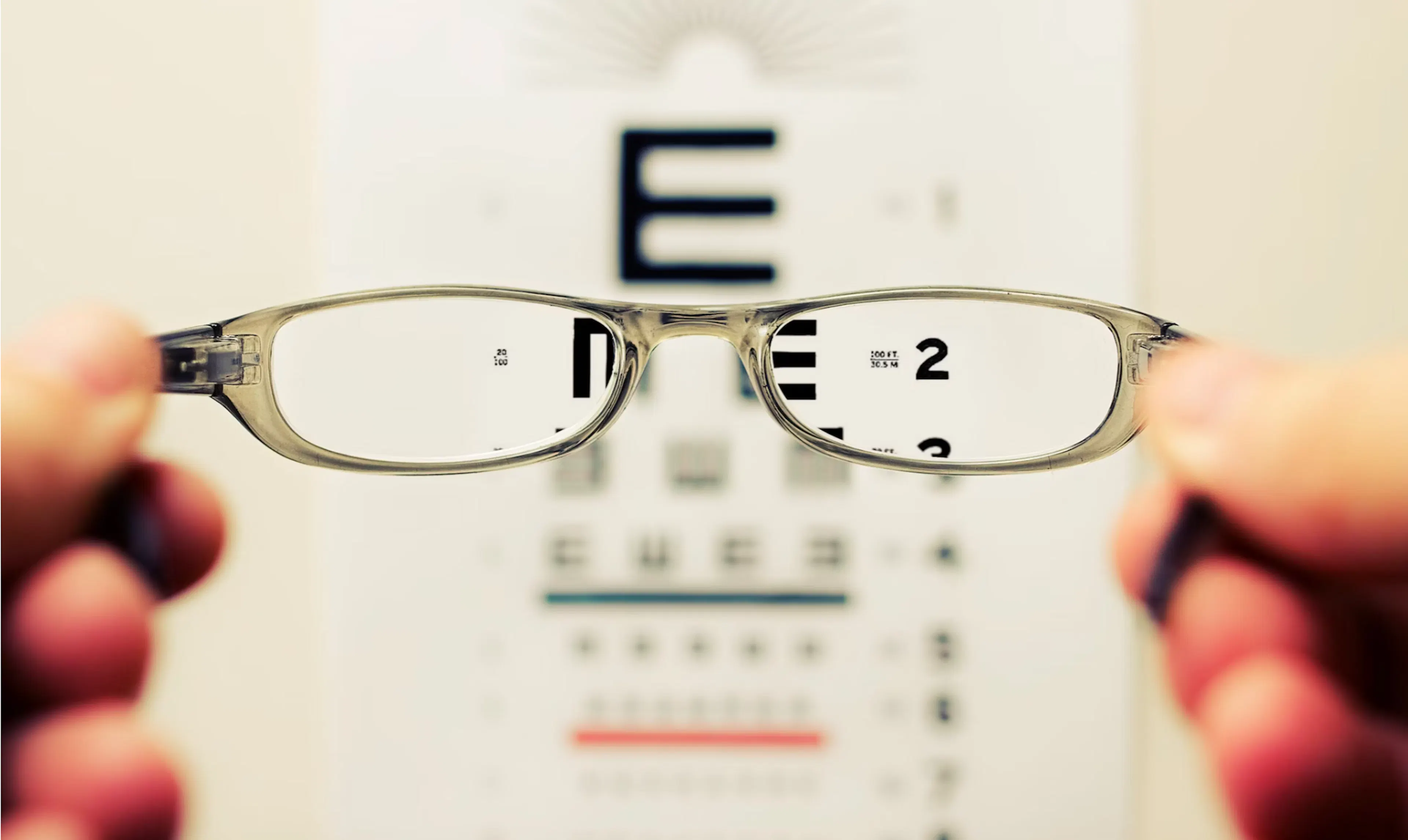 TL;DR Science: Vision and the Optic Nerve