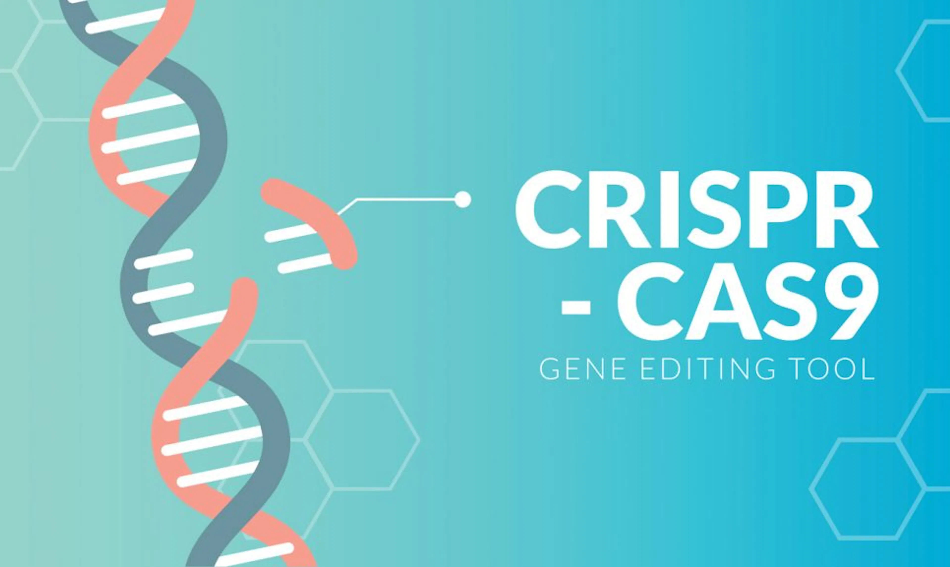 TL;DR Science: CRISPR-Cas9
