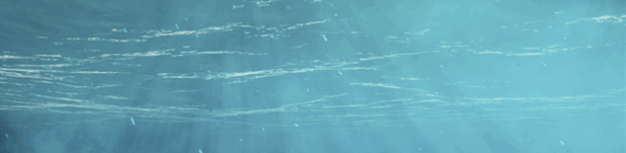 TL;DR Science: Following the Tide