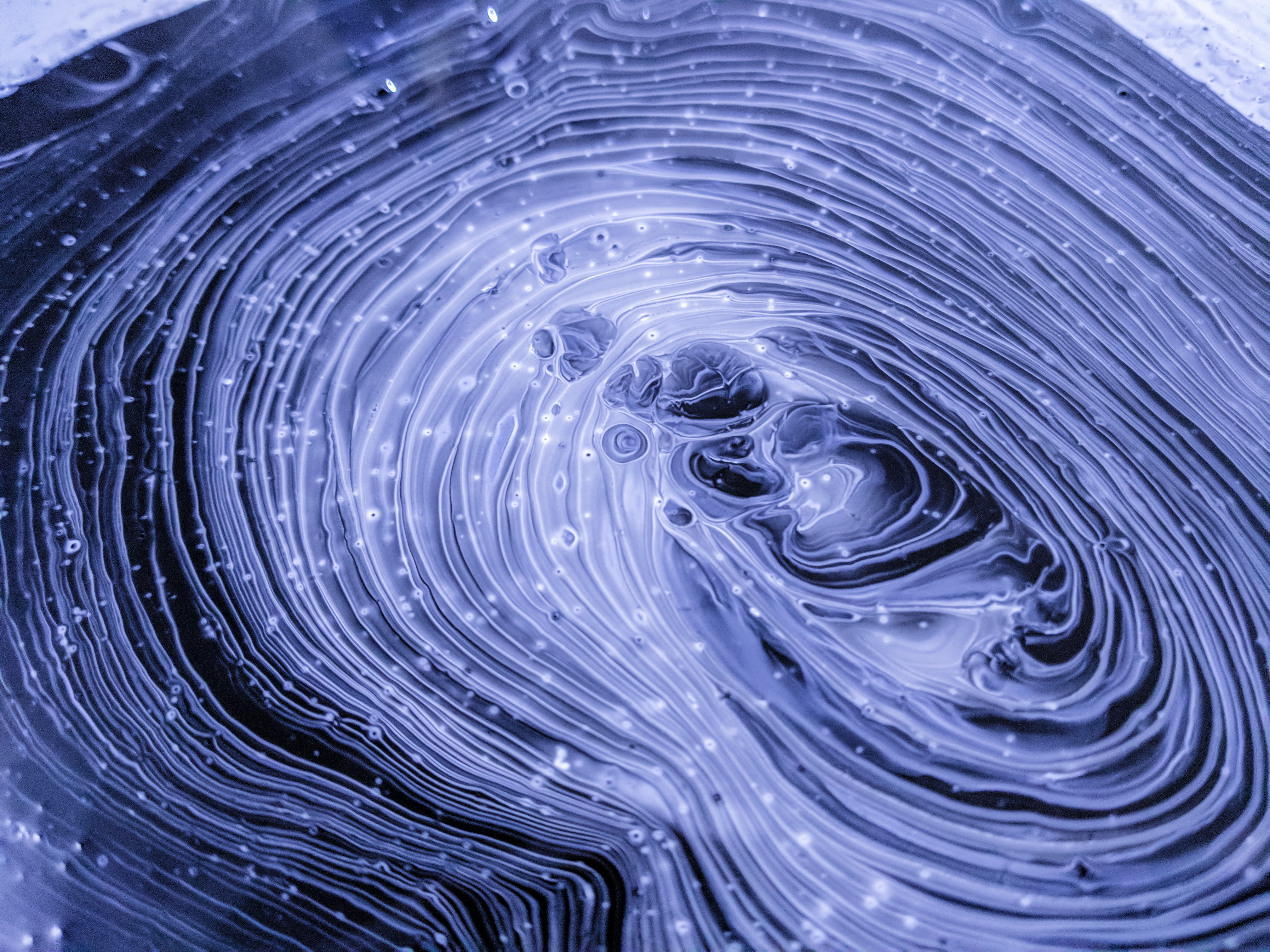 Cognitive Science Research Studies