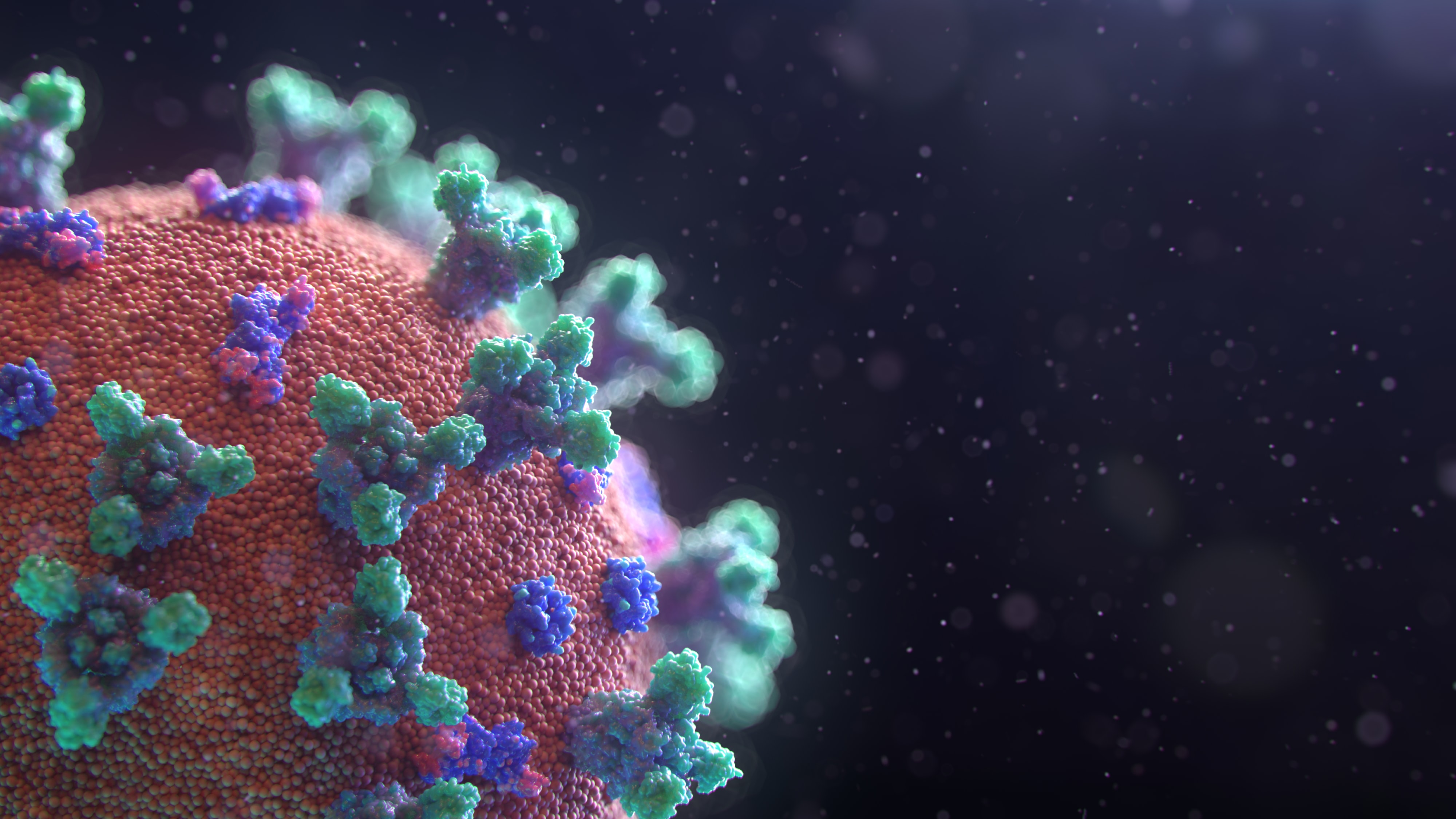 The COVID-19 Vaccine (Updated)