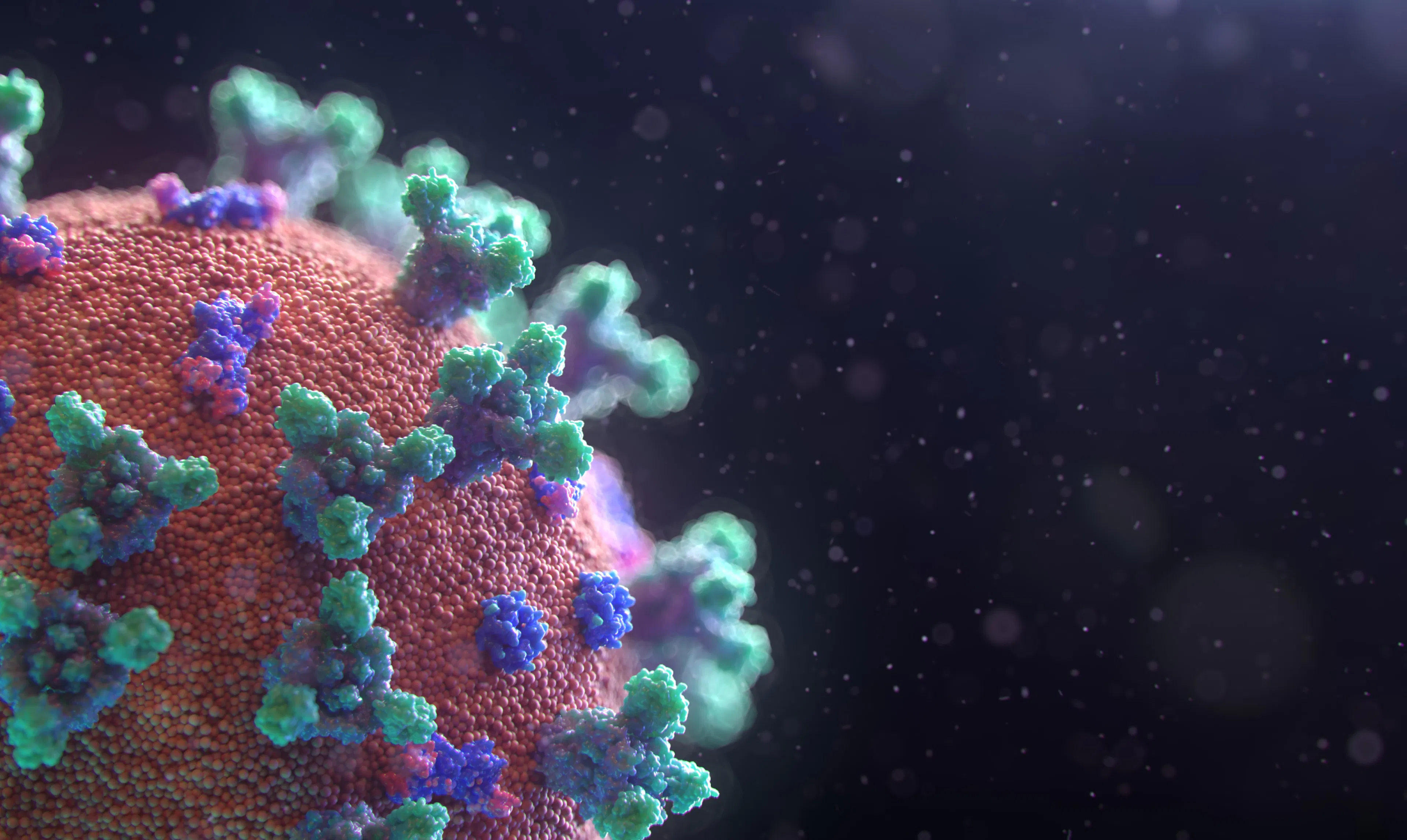 The COVID-19 Vaccine (Updated)