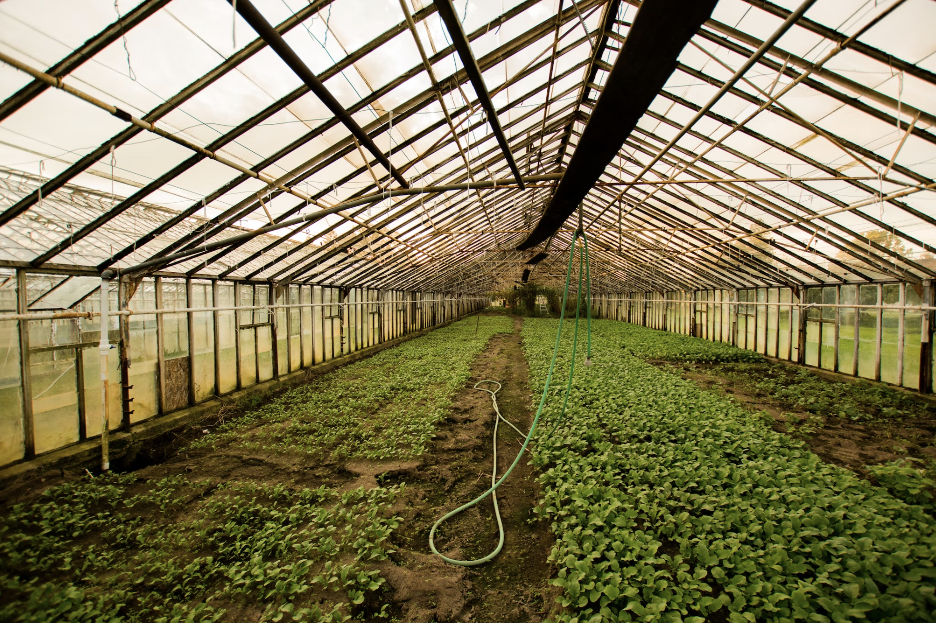 TL;DR Science: Horticulture Therapy