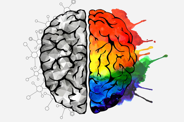 TLDR; Majors: Cognitive Science