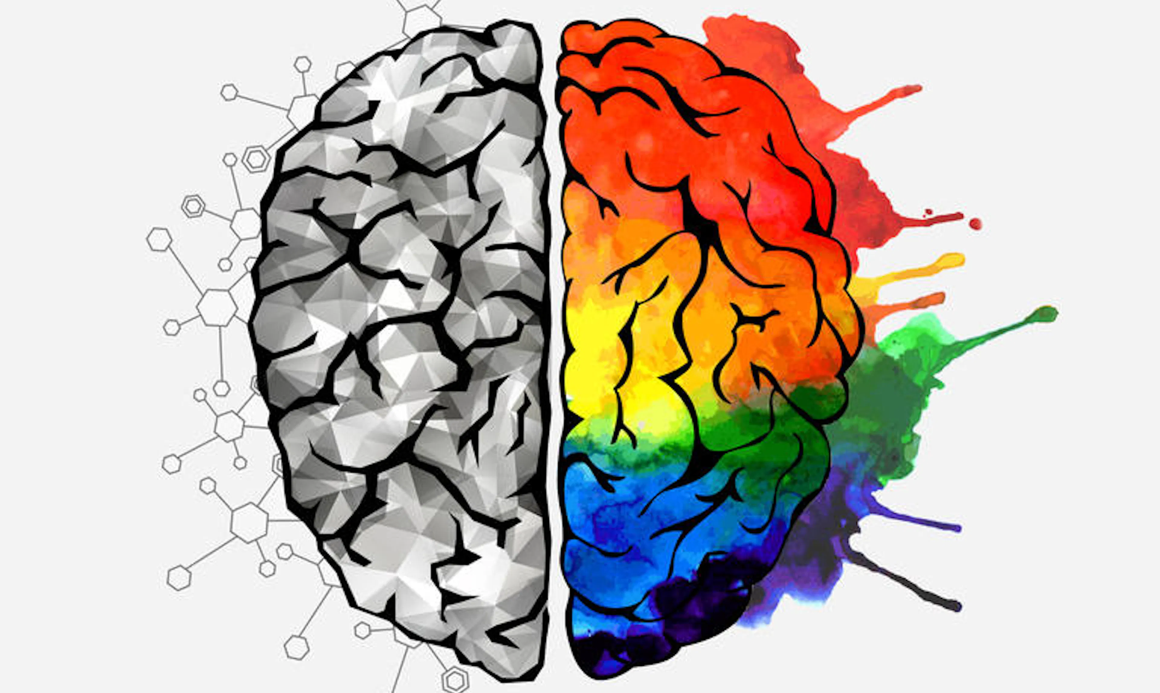 TLDR; Majors: Cognitive Science