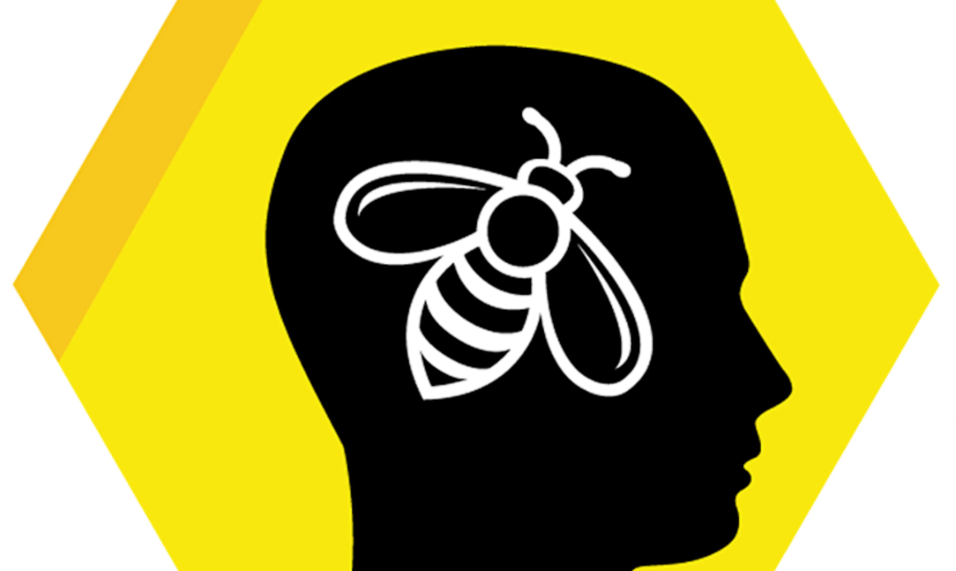Extracurriculars: Brain Bee